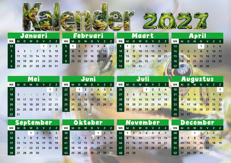 Kikkers.27