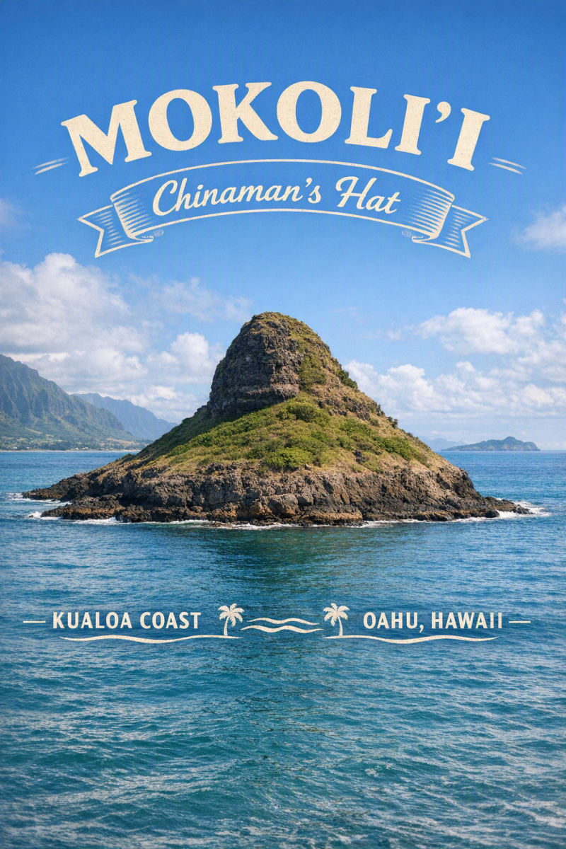 12_mokoli-i-chinaman-s-hat-a-distinctive-cone-standard.png