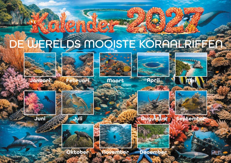 A4L-Koraalriffen27