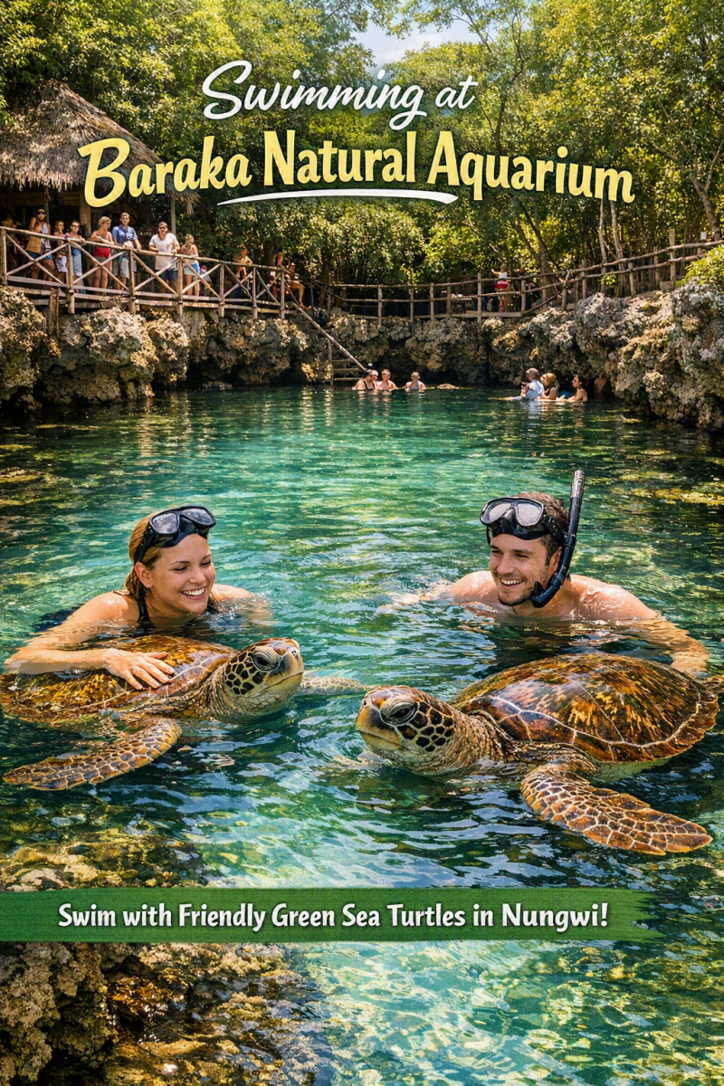4-_swimming-at-baraka-natural-aquarium-a-natural-l-standard.png