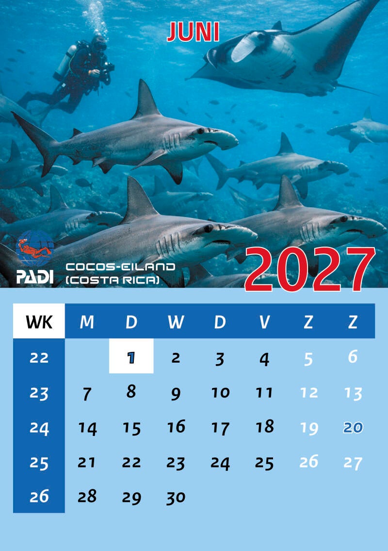 A5S-PADI.27