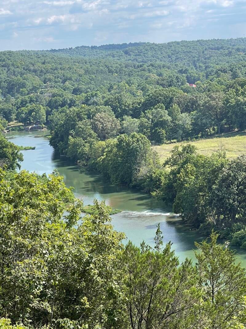 Springriver - Hardy >Left