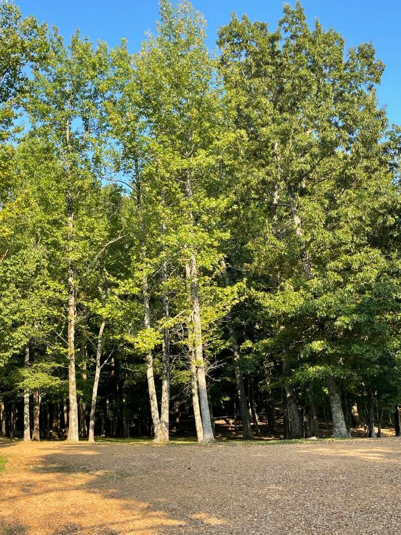 Crowley Ridge - surroundings (ph10)