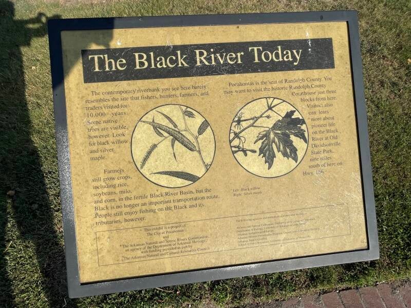 Plaque 04