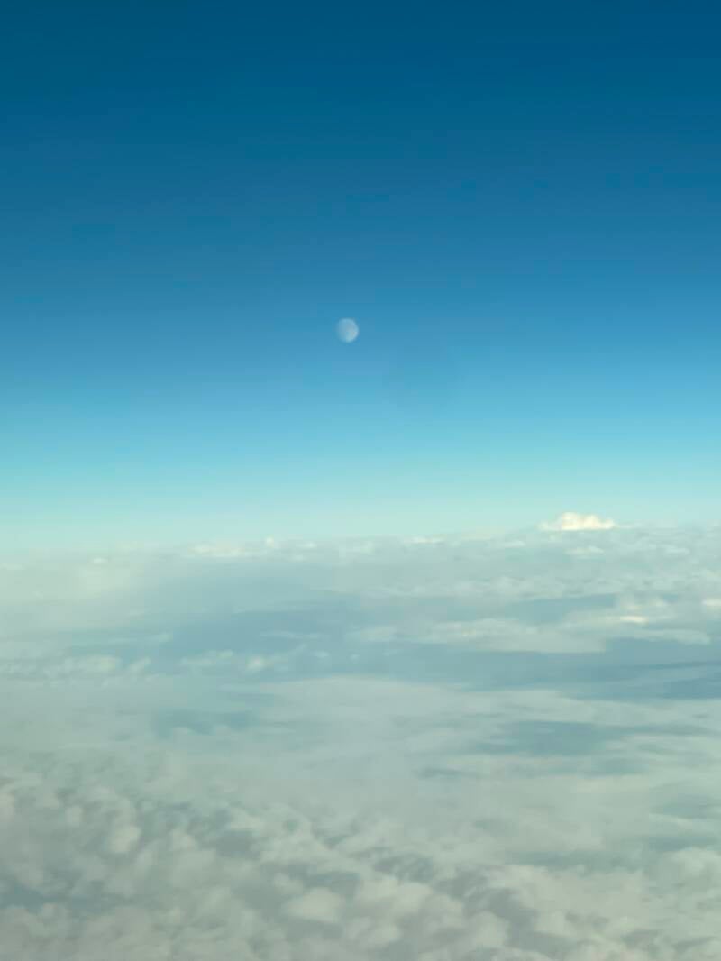 img_8881-standard.jpg