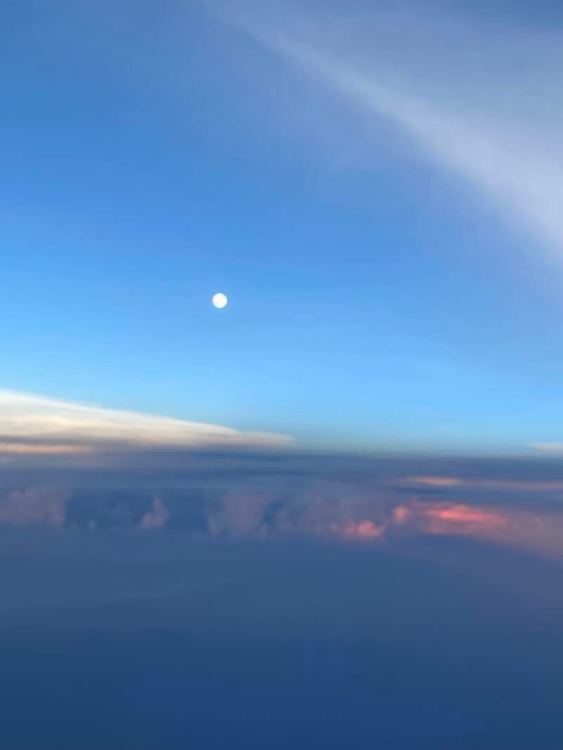 img_8918-standard.jpg