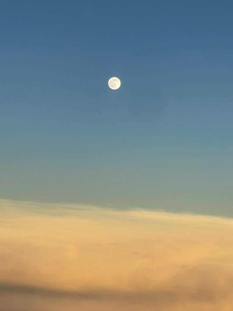 img_8923-standard.jpg