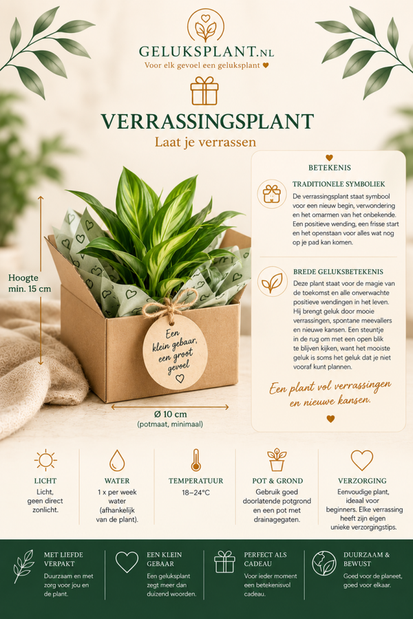 Verrassingsplant