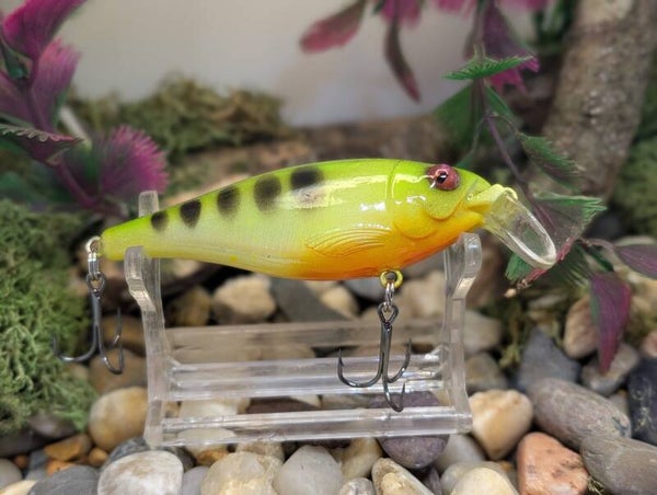 Flicking Shad