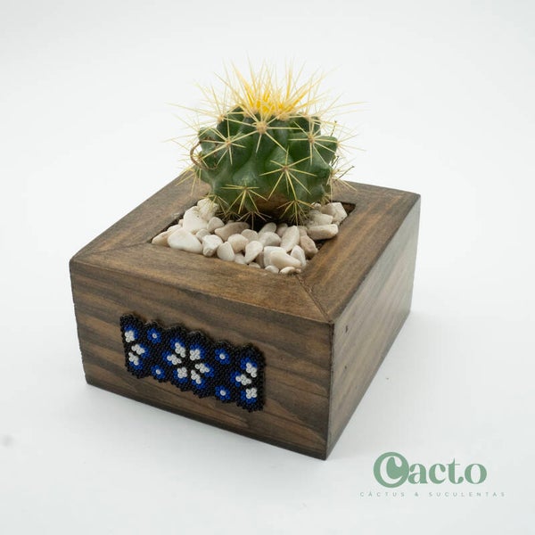 Modelo Colaboración