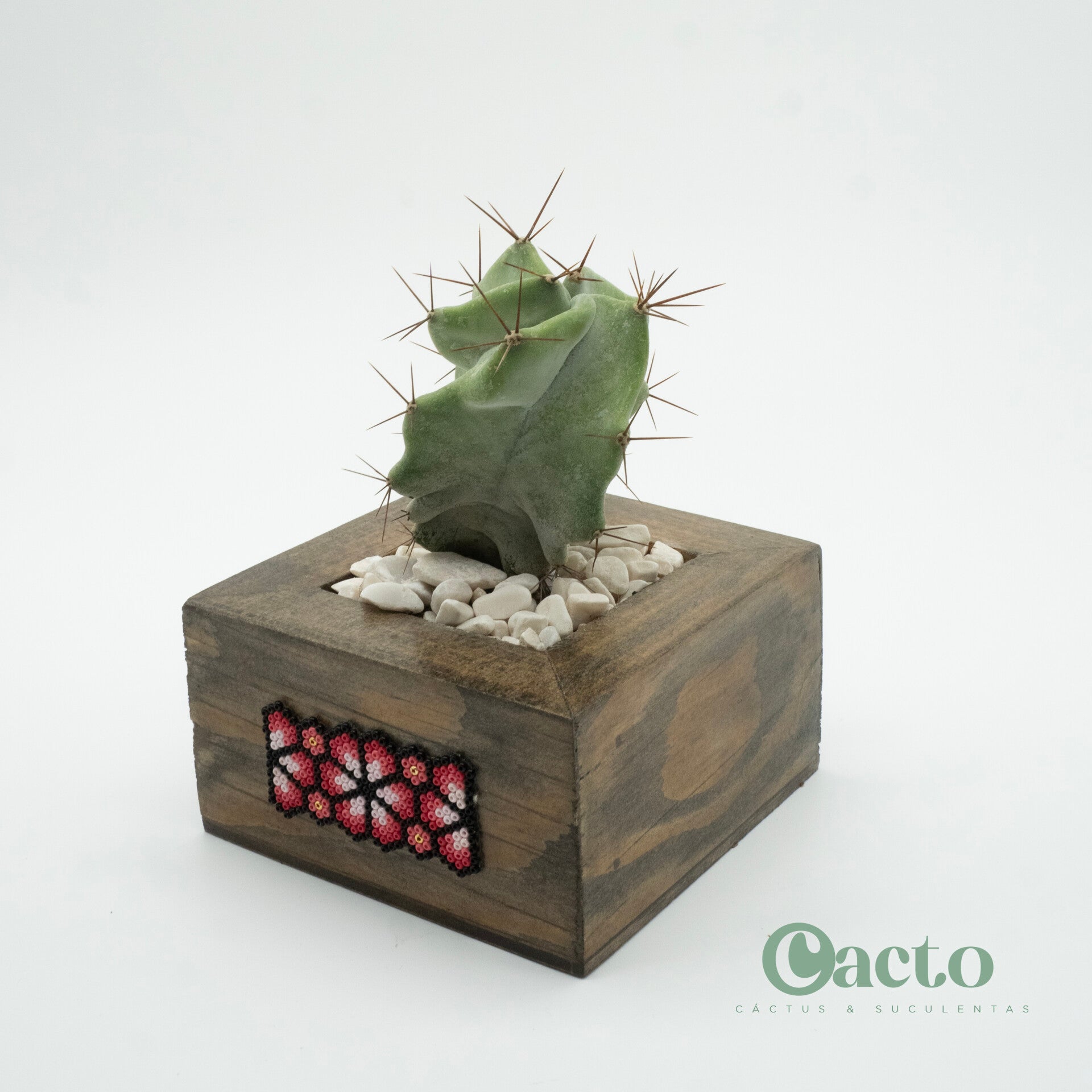 Modelo Colaboración