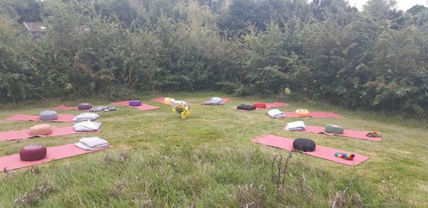 Yoga Nidra in de wei: 2021: mei, juni, juli, aug, sept