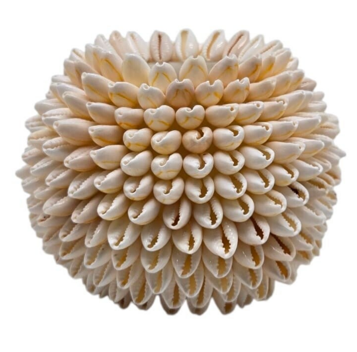 Bougeoir avec coquillages beiges