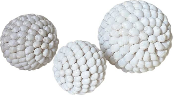 Boules en coquillages blancs
