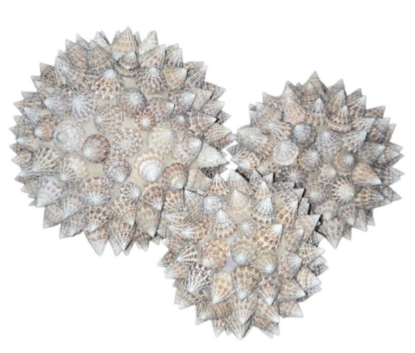 Boules en coquillages blancs et beiges