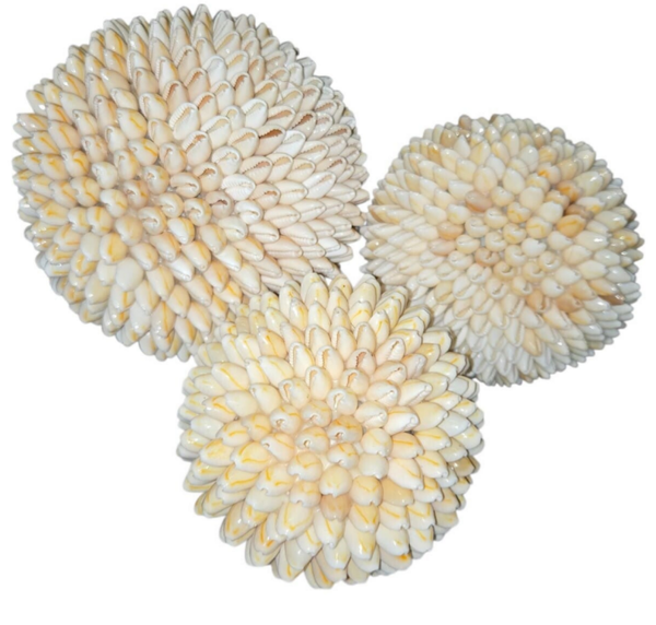 Boules en coquillages beiges
