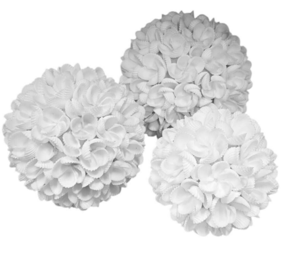 Boules en coquillages blancs