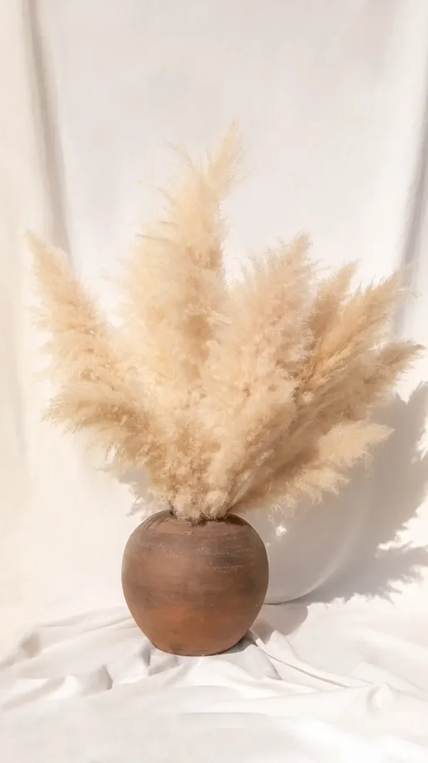 Herbe de Pampa séchée duveteuse environ 1 M