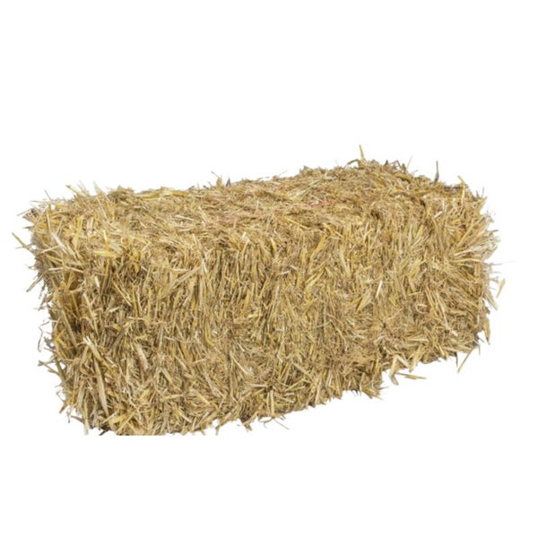 Gerstenstro kleine baal