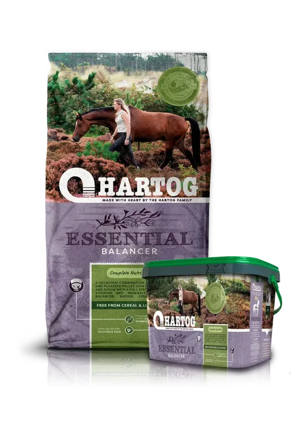 HARTOG ESSENTIAL
