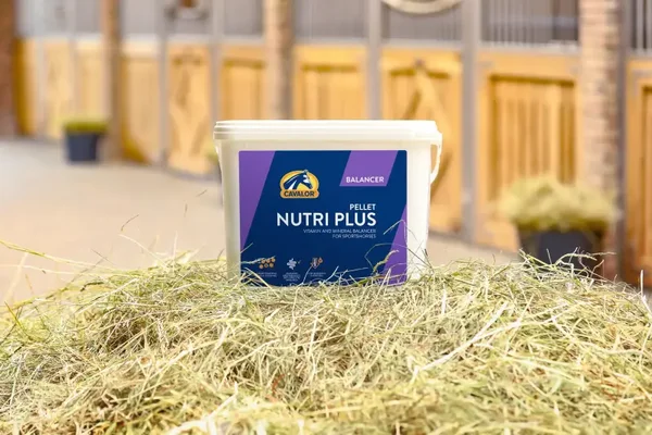 Cavalor Nutri Plus 20Kg