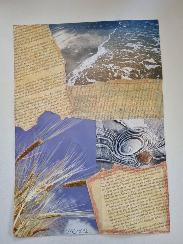 C002 - Zanderig (A4)