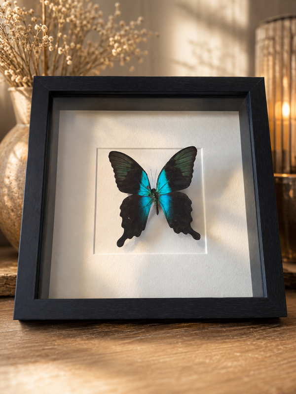 Fotoframe vlinder