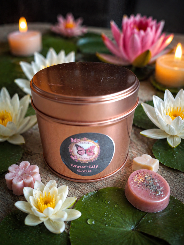 Water Lily & Lotus
