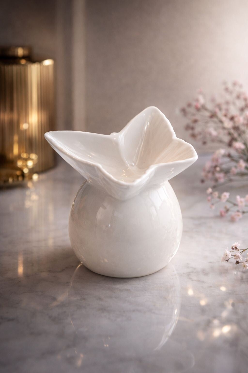 Brander butterfly