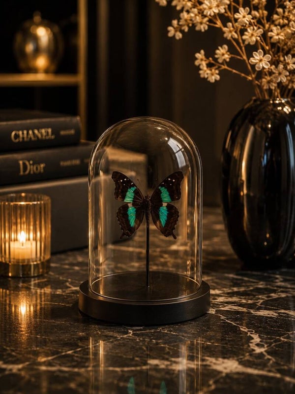 Mini vlinder luxe