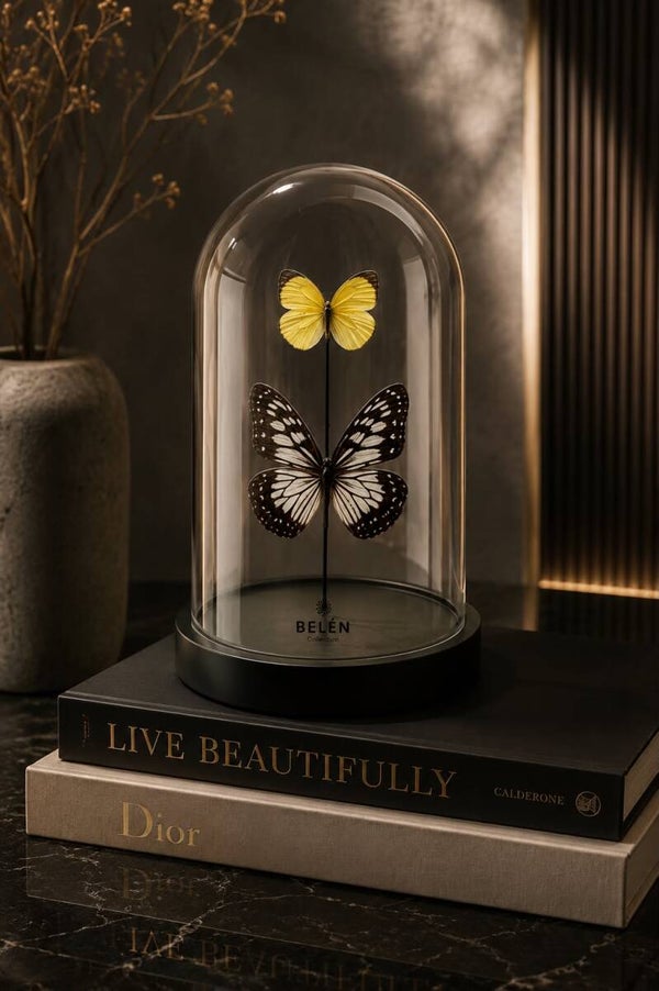 Kleine bel met 2 vlinders Ideopsis en Eurema