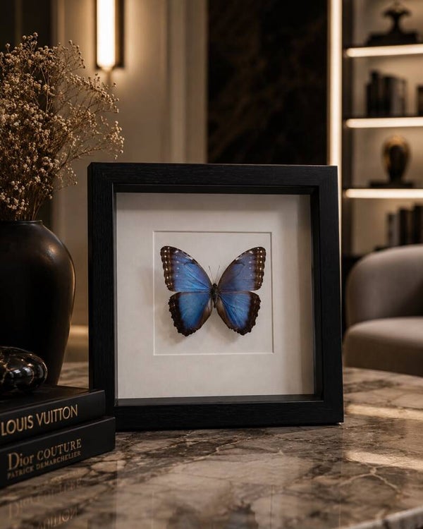 Vlinder Fotoframe 2