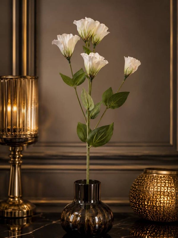 Eustoma