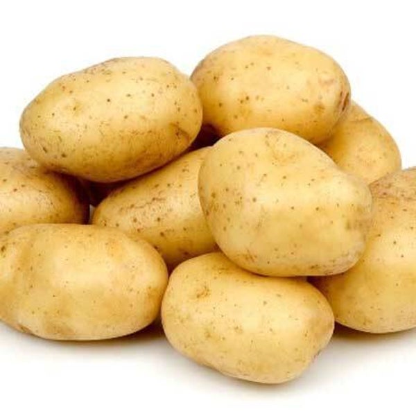 Potato