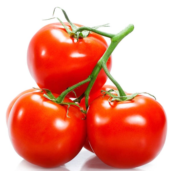 Organic Fresh Tomato