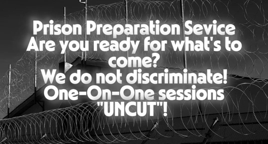 Prison Preparation Service "Synopsis"