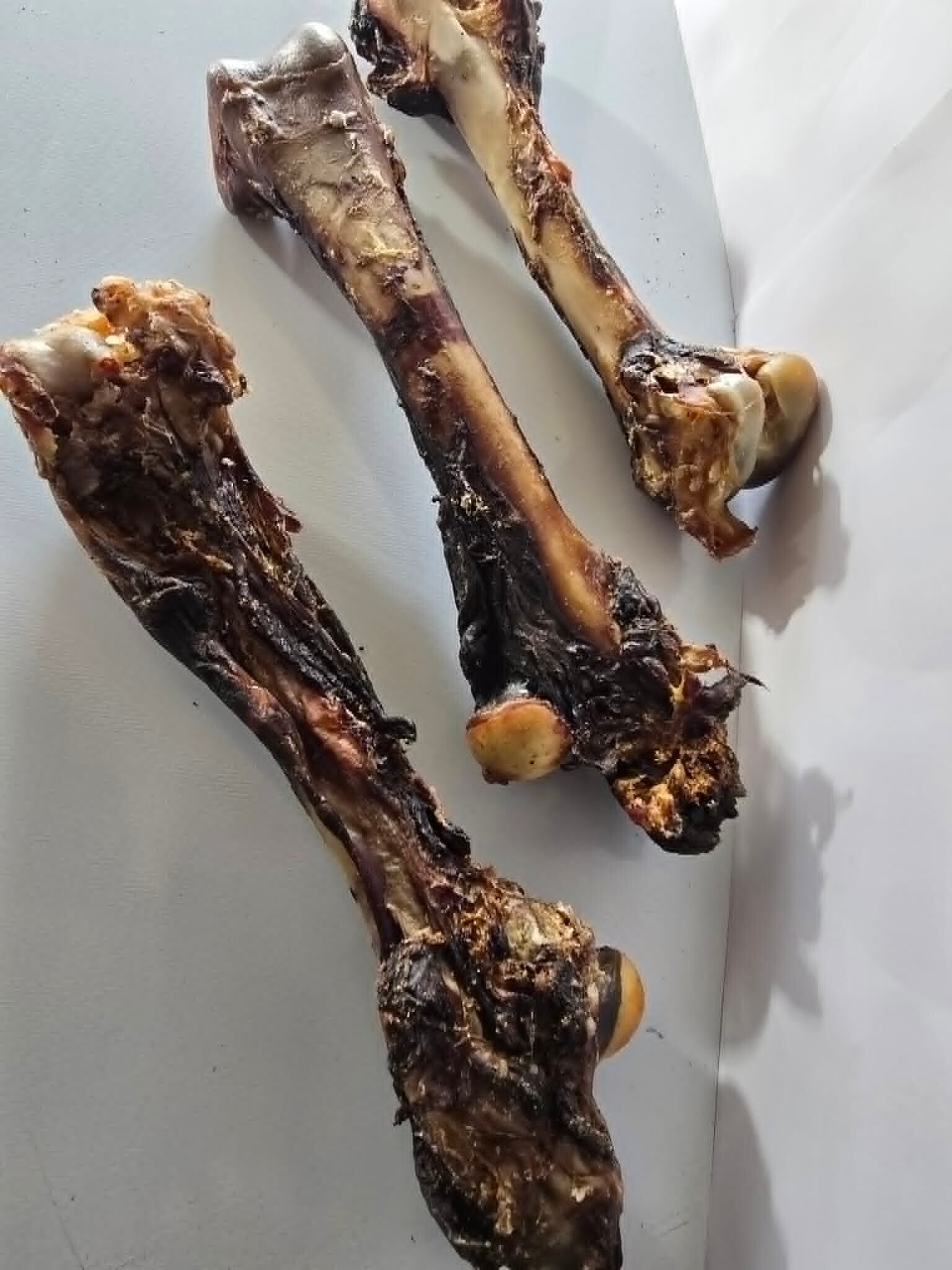Kangaroo Femur (Ultra-Durable Power Chew)