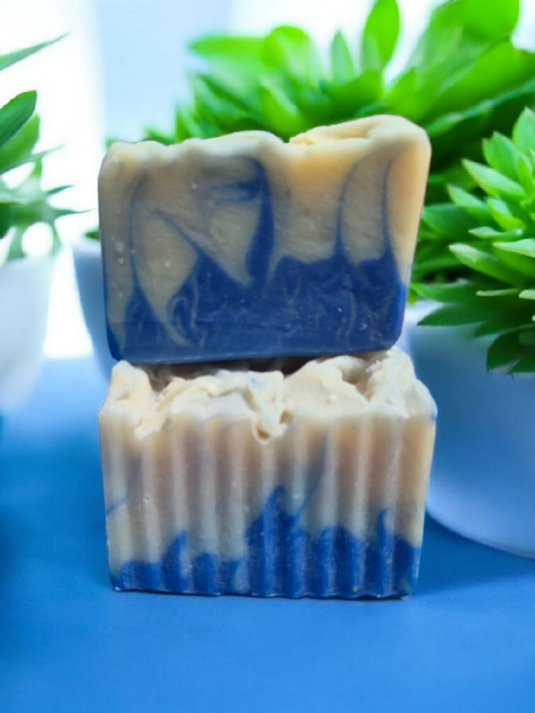 Savon vague d'écume 100g