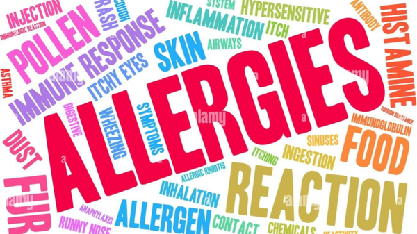 Allergy Testing - Blood Sample
