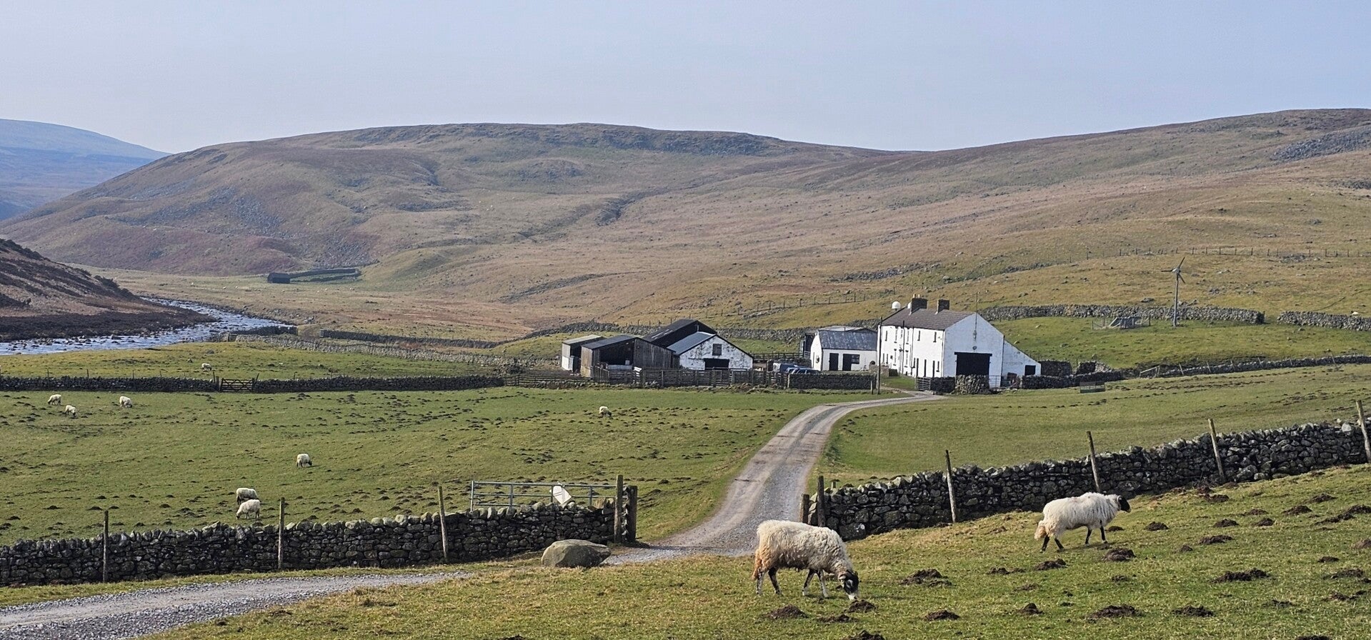 Sayer Hill Farm, Upper Teesdale