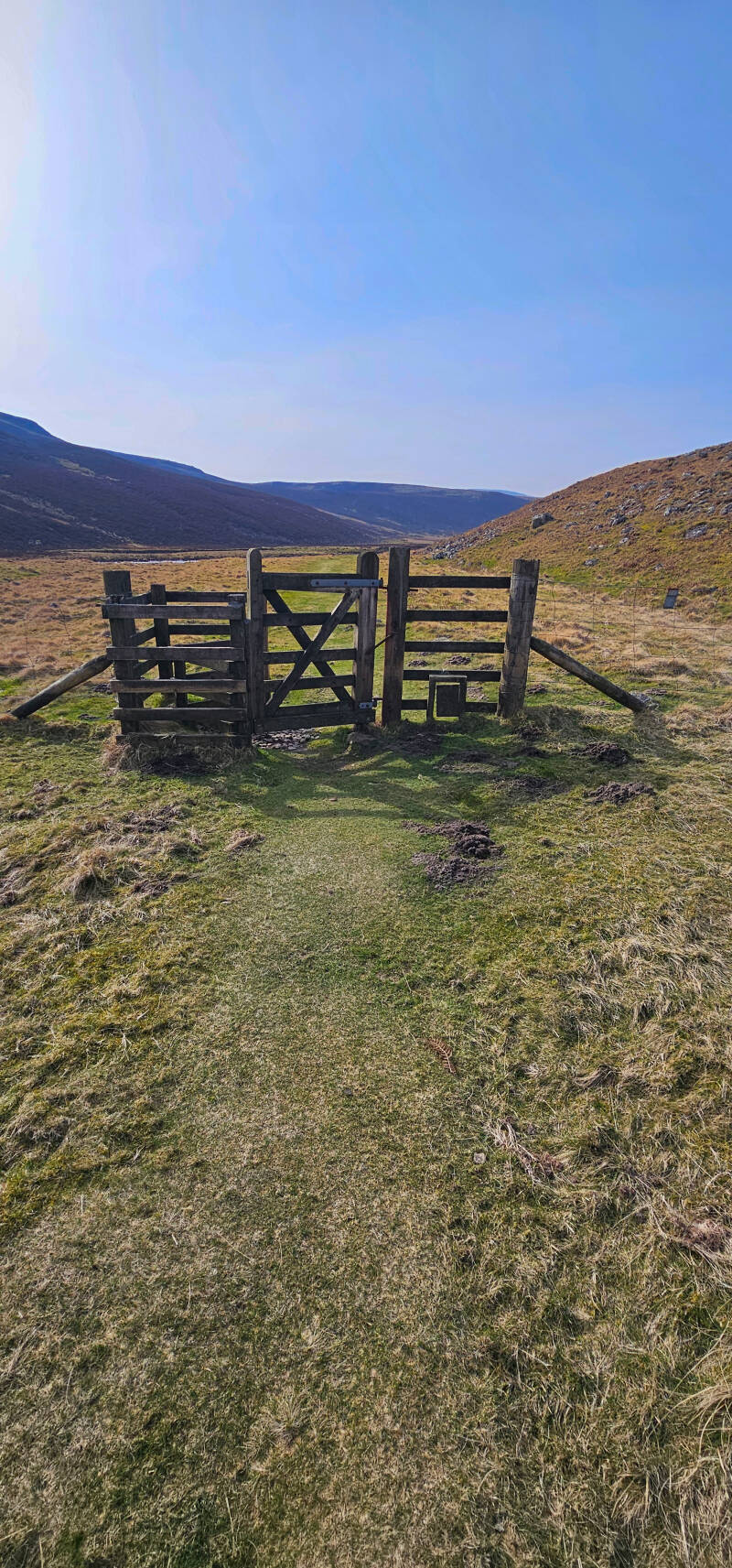 Along Falcon Cints, Teesdale
