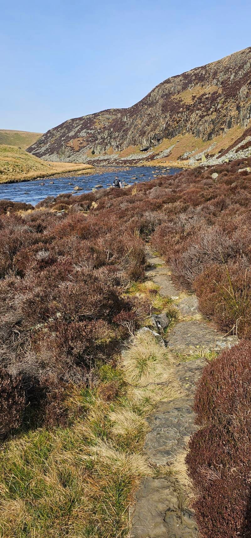Along Falcon Cints, Teesdale