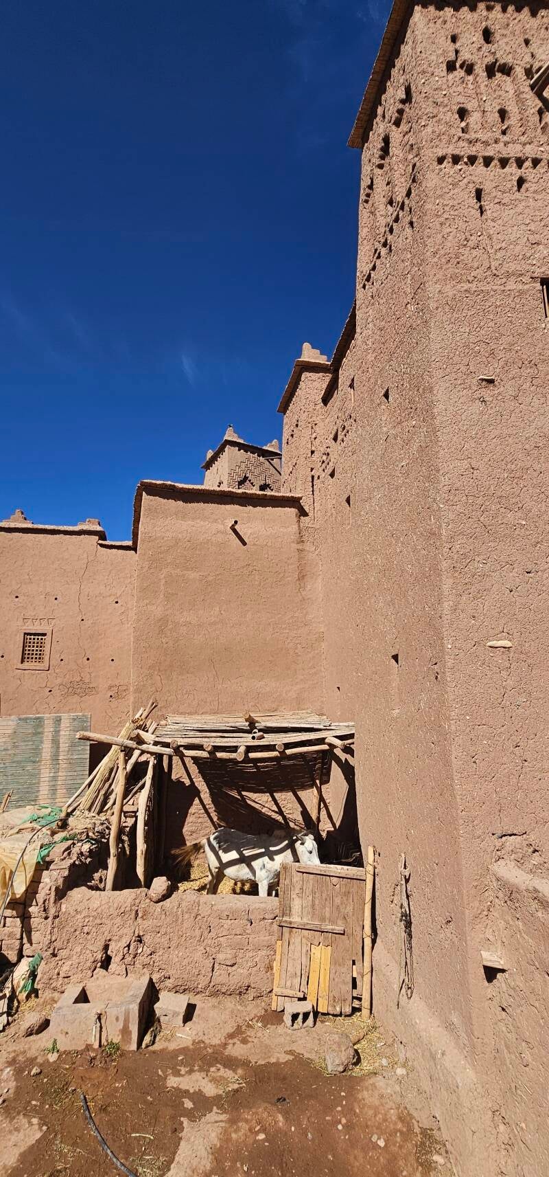 ait-benhaddou-10-standard-7jltfj.jpg