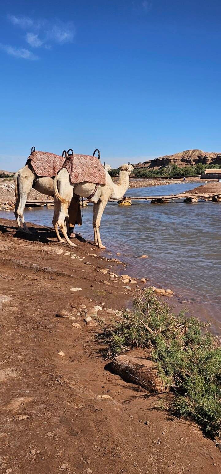 ait-benhaddou-15-standard-smodsc.jpg