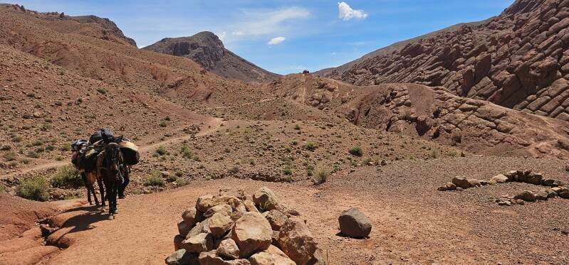 dades-valley-25-standard.jpg