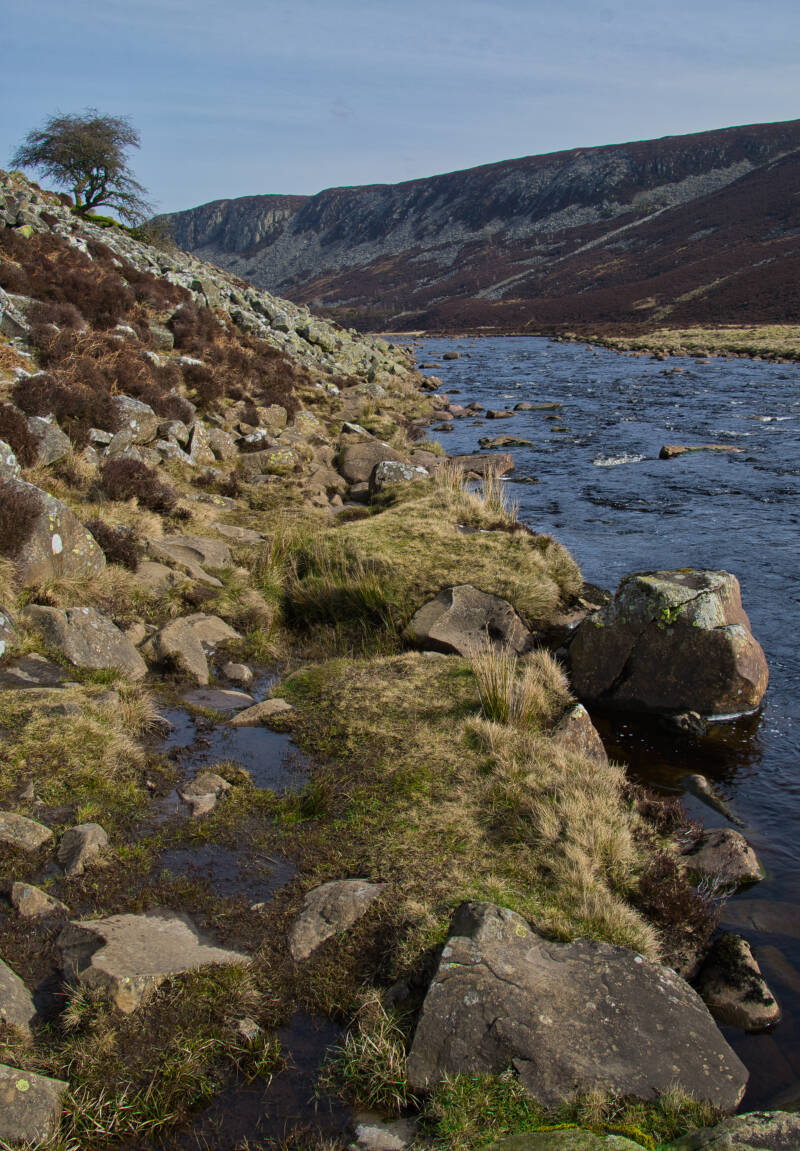 Along Falcon Cints, Teesdale