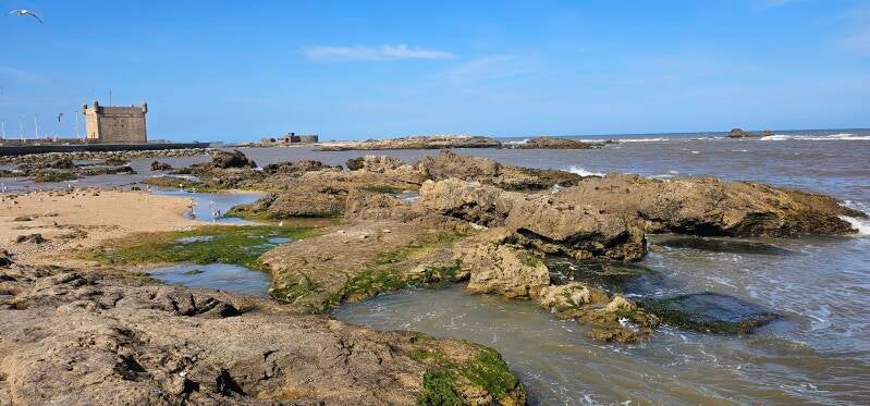 essaouira-128-standard-t24li8.jpg