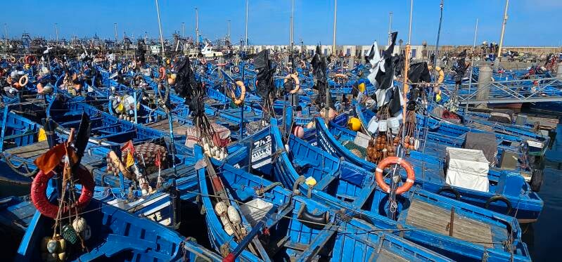essaouira-137-standard.jpg
