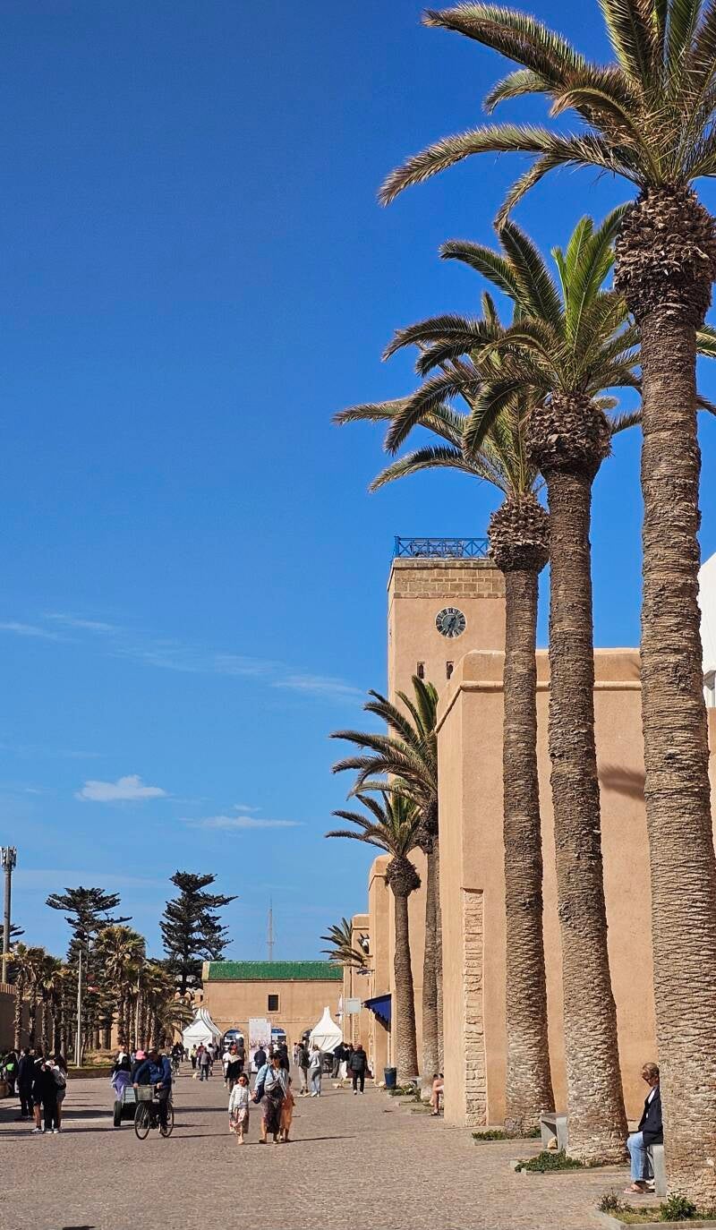 essaouira-156-standard-zsv9un.jpg