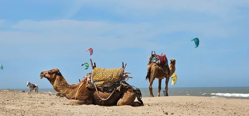 essaouira-173-standard.jpg